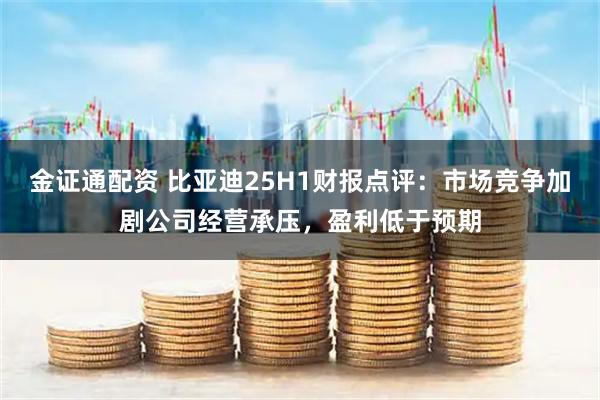 金证通配资 比亚迪25H1财报点评：市场竞争加剧公司经营承压，盈利低于预期