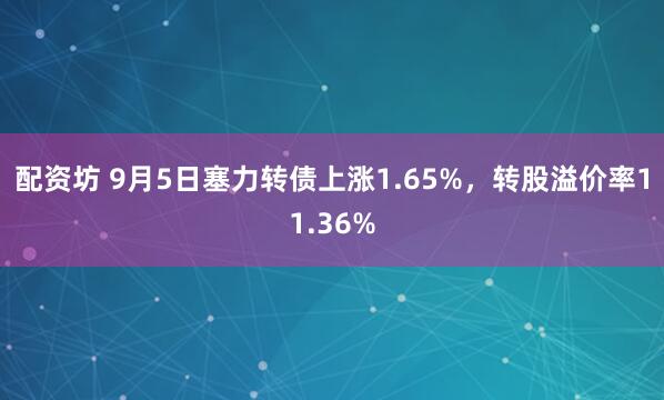 配资坊 9月5日塞力转债上涨1.65%，转股溢价率11.36%